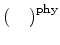 $ \left(\hspace{1em} \right)^{\rm phy}$