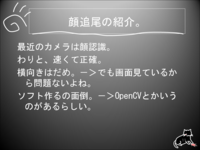 Page 011