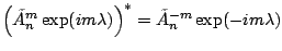 ${\displaystyle
\left(\tilde{A}^m_n \exp(im\lambda) \right)^*
= \tilde{A}^{-m}_n \exp(-im\lambda) }$