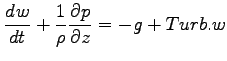 $\displaystyle \DD{w}{t} + \Dinv{\rho}\DP{p}{z} = -g + Turb.w$