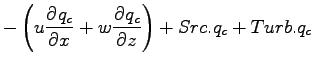 $\displaystyle - \left( u \DP{q_{c}}{x} + w \DP{q_{c}}{z} \right)
+ Src.q_{c} + Turb.q_{c}$