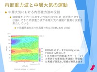 対流によって励起された内部重力波の鉛直伝播に関する数値シミュレーション