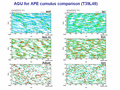  AGU for APE cumulus comparison (T39L48)