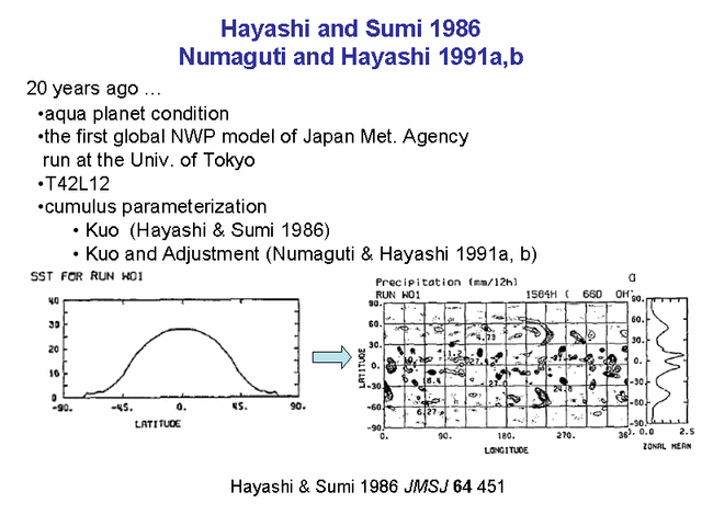  Hayashi and Sumi 1986; Numaguti and Hayashi 1991a,b