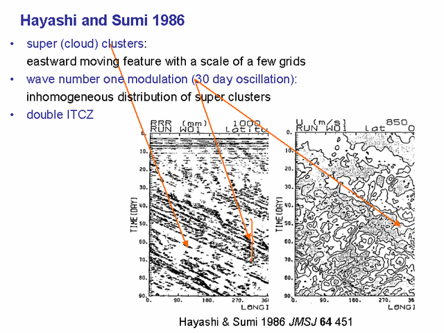  Hayashi and Sumi 1986
