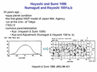  Hayashi and Sumi 1986; Numaguti and Hayashi 1991a,b