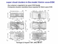  super cloud clusters in the model: Kelvin wace-CISK