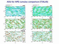  AGU for APE cumulus comparison (T39L48)