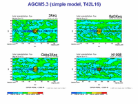  AGCM5.3 (simple model, T42L16)